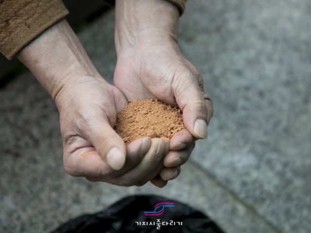 [2026] 기지시줄다리기 정월대보름